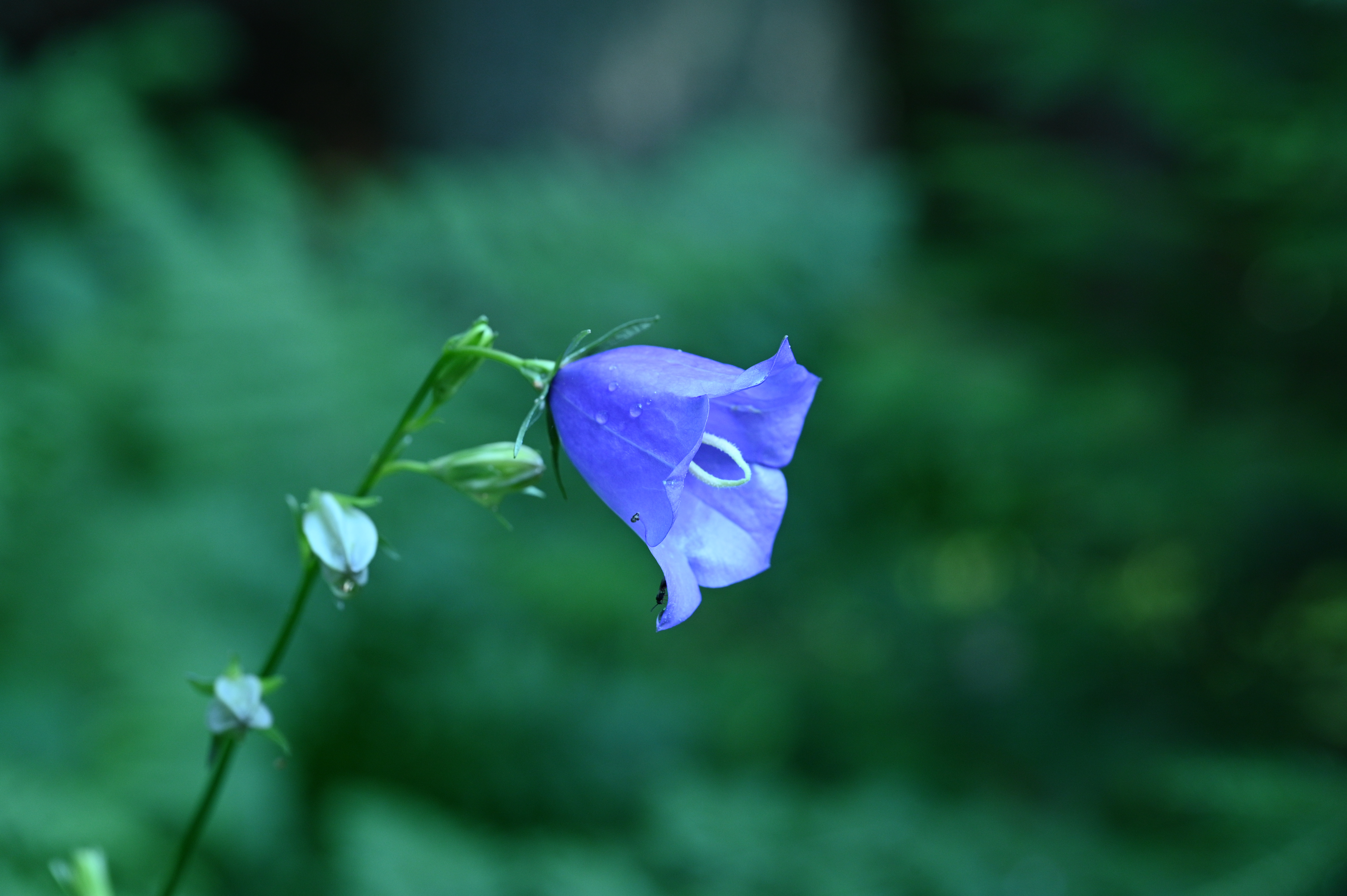 2025/07/09-14 - trip/DSC_0282.JPG